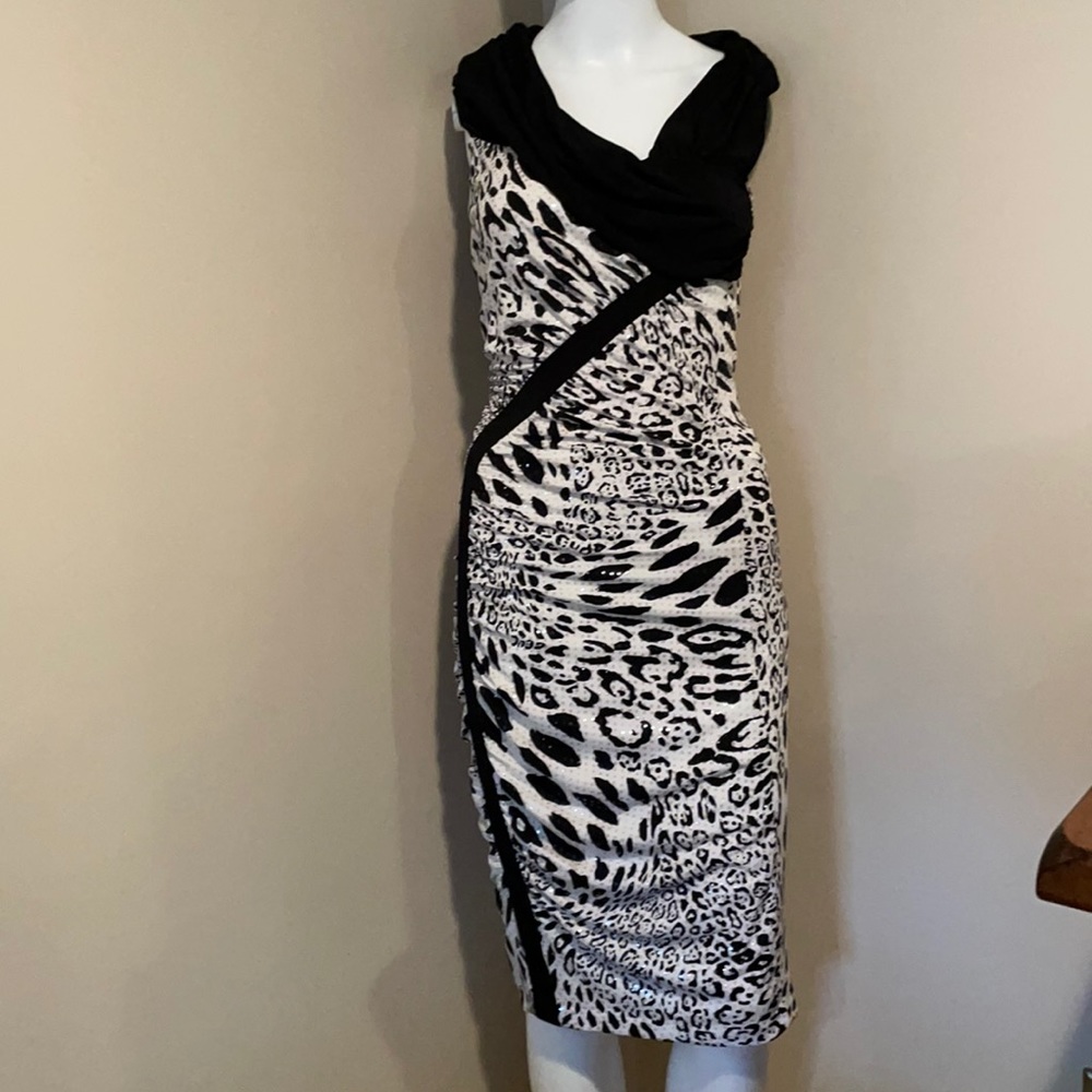 Cache size 8 leopard dress. Hardly worn
